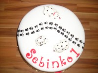 /album/torty-20141/p1010847-jpg/