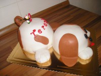 /album/torty-20141/p1010881-jpg/