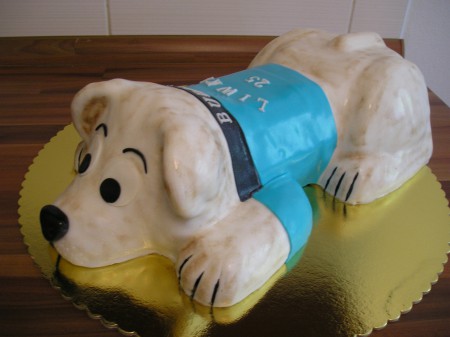 psíček Buddy zľava