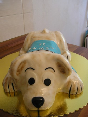 psíček Buddy spredu